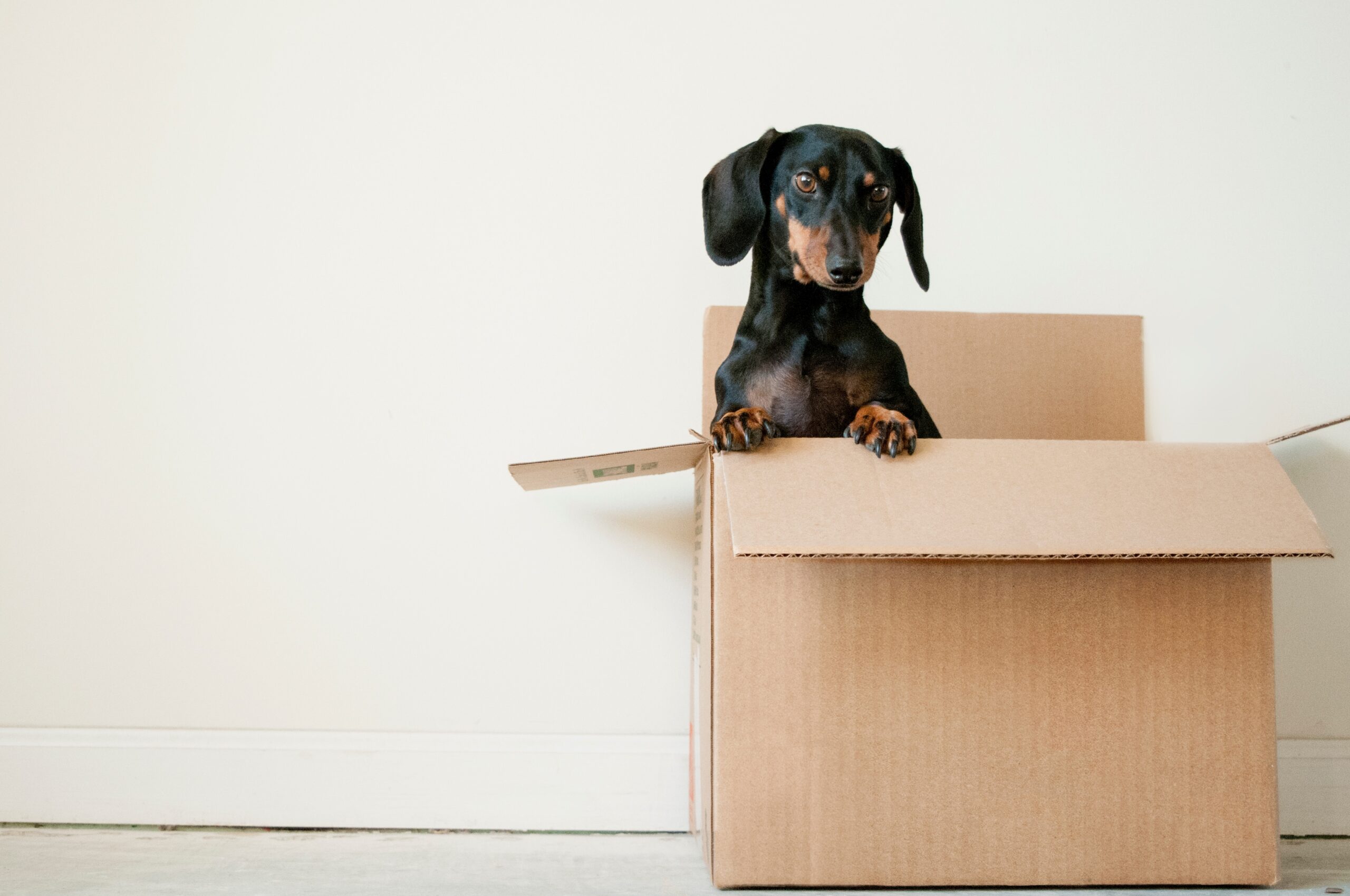 Mudança para apartamento pequeno. Você mora em uma casa grande e está vivendo aquele dilema de mudança para uma menor?